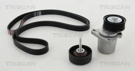 Поликлиновой ременный комплект TRISCAN 864216004