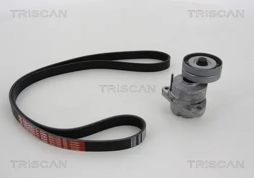 Поликлиновой ременный комплект TRISCAN 864224002 (фото 1)
