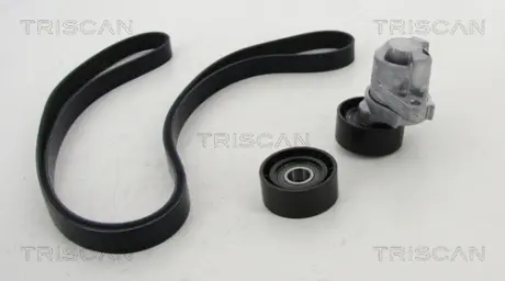 Поликлиновой ременный комплект TRISCAN 864225009