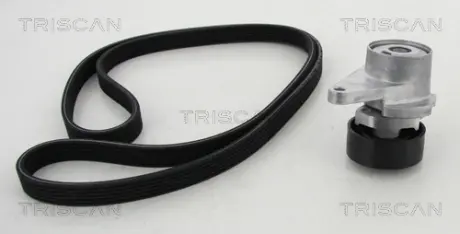 Поликлиновой ременный комплект TRISCAN 864227001