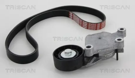 Поликлиновой ременный комплект TRISCAN 864228012