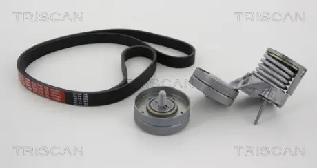 Поликлиновой ременный комплект TRISCAN 864229009