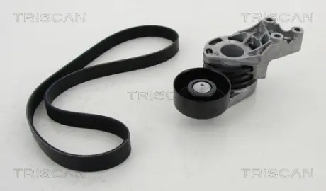 Поликлиновой ременный комплект TRISCAN 864229018
