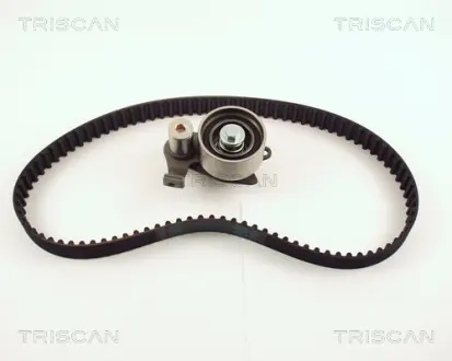 Комплект ремня ГРМ TRISCAN 864713013