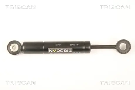 Амортизатор, поликлиновой ремень TRISCAN 87102317