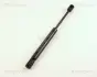 Амортизатор багажника VW Bora 98-,VW Passat 96-,Seat Toledo 99- TRISCAN 871029231 (фото 1)