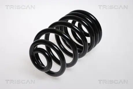Пружина ходовой части TRISCAN 87501004