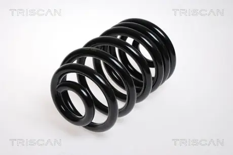 Пружина ходовой части TRISCAN 87501007