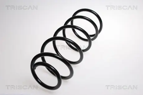 Пружина ходовой части TRISCAN 87501011