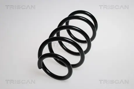 Пружина ходовой части TRISCAN 87501013