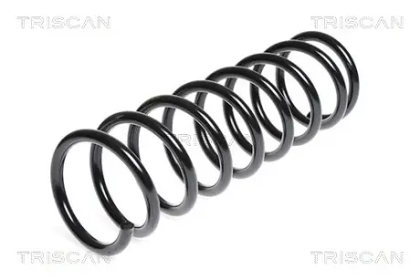 Пружина ходовой части TRISCAN 87501033