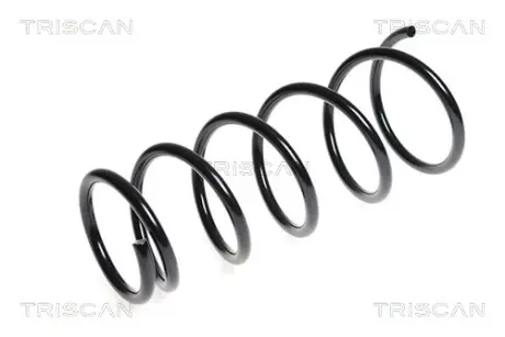 Пружина ходовой части TRISCAN 87501037