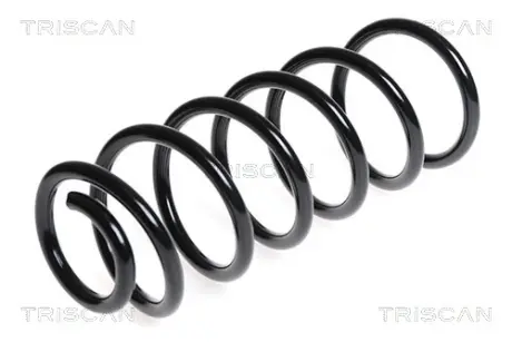 Пружина ходовой части TRISCAN 87501043