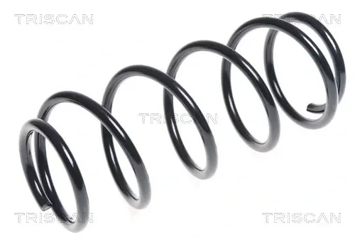 Пружина ходовой части TRISCAN 87501047 (фото 1)