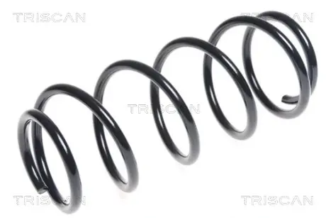 Пружина ходовой части TRISCAN 87501047