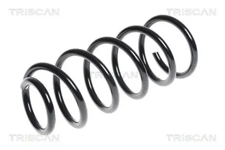 Пружина ходовой части TRISCAN 875011106