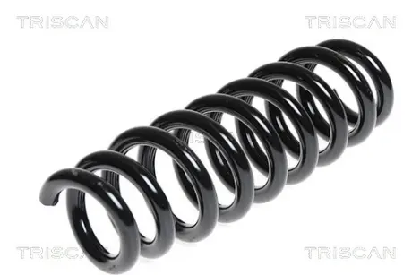 Пружина ходовой части TRISCAN 875011108