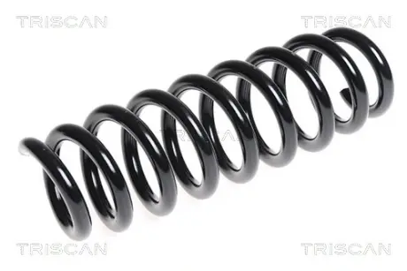 Пружина ходовой части TRISCAN 875011113