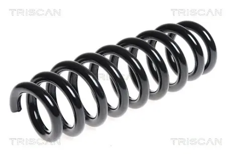 Пружина ходовой части TRISCAN 875011121