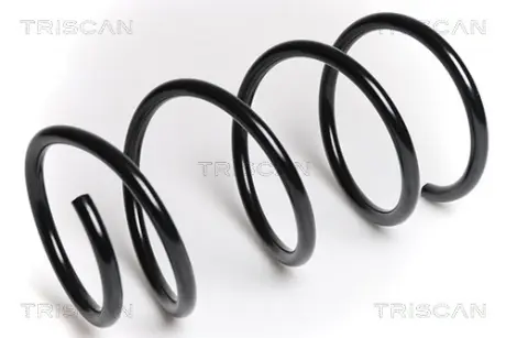 Пружина ходовой части TRISCAN 875011127