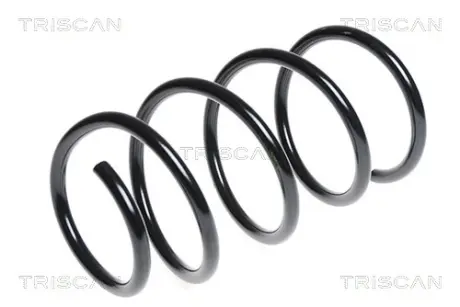 Пружина ходовой части TRISCAN 875011128