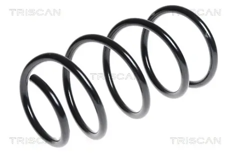 Пружина ходовой части TRISCAN 875011129