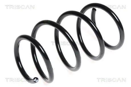 Пружина ходовой части TRISCAN 875011130