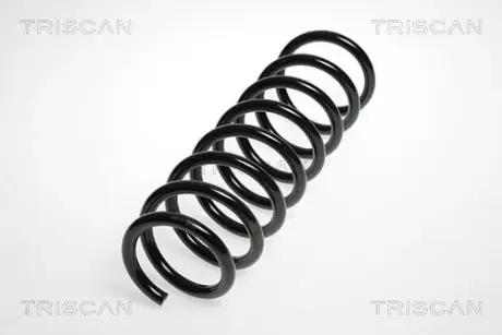Пружина ходовой части TRISCAN 875011133
