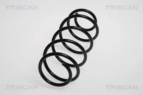 Пружина ходовой части TRISCAN 875011138