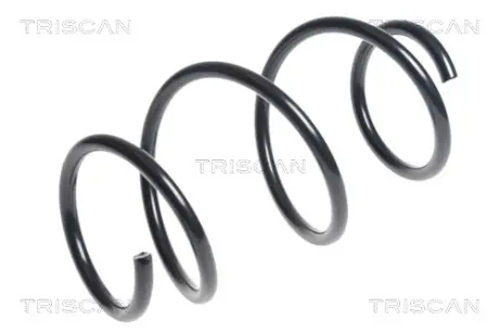 Пружина ходовой части TRISCAN 875011145