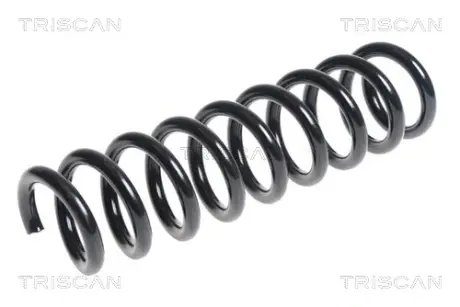 Пружина ходовой части TRISCAN 875011147