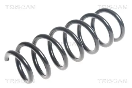 Пружина ходовой части TRISCAN 875011155