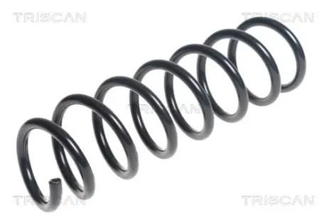 Пружина ходовой части TRISCAN 875011156