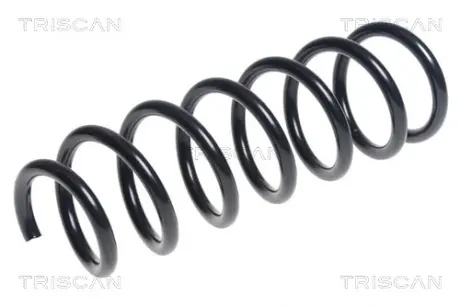 Пружина ходовой части TRISCAN 875011157