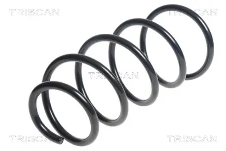 Пружина ходовой части TRISCAN 875011161