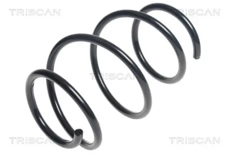 Пружина ходовой части TRISCAN 875011165