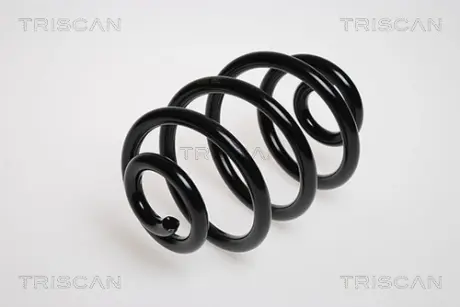 Пружина ходовой части TRISCAN 87501125
