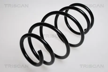 Пружина ходовой части TRISCAN 87501132