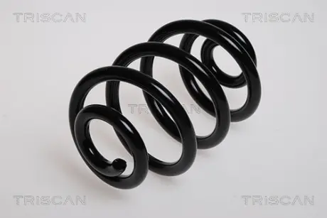 Пружина ходовой части TRISCAN 87501140