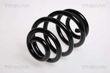 Пружина ходовой части TRISCAN 87501143