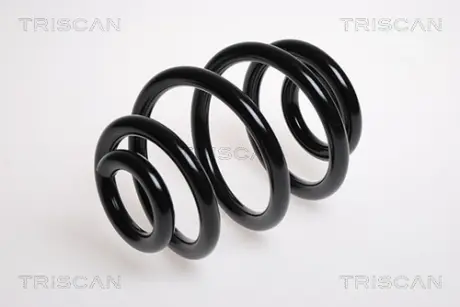 Пружина ходовой части TRISCAN 87501145