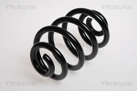 Пружина ходовой части TRISCAN 87501152