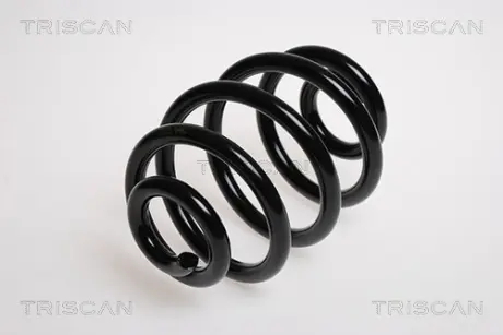 Пружина ходовой части TRISCAN 87501168