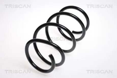 Пружина ходовой части TRISCAN 87501175
