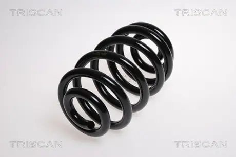 Пружина ходовой части TRISCAN 87501187