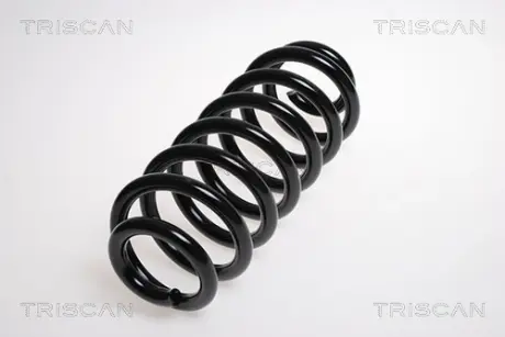 Пружина ходовой части TRISCAN 87501190