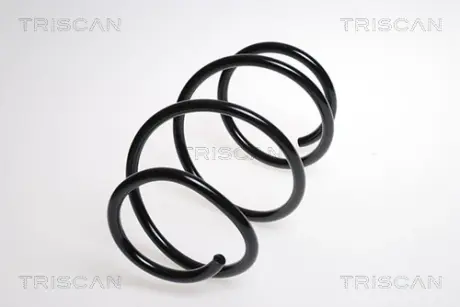 Пружина ходовой части TRISCAN 87501193