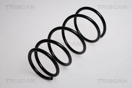 Пружина ходовой части TRISCAN 875013101