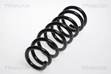 Пружина ходовой части TRISCAN 875013111