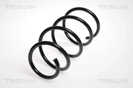 Пружина ходовой части TRISCAN 875013112